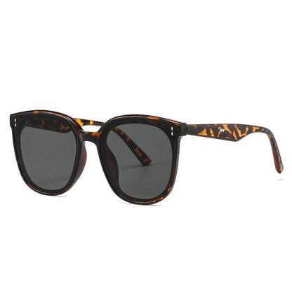 Men’s UV Protection Driving Sunglasses